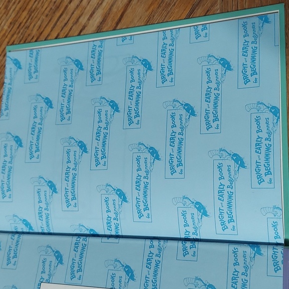 The Berenstain Bears Bears In The Night - Picture 4 of 14